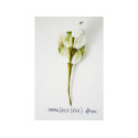 BOUQUET FIORE