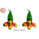 PALA FICO D INDIA 4 FRUTTI 24x