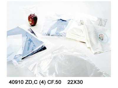 Sud Arca Snc BUSTE CON ADESIVO 22X30 PZ.50