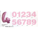NUMERO MAXI ROSA