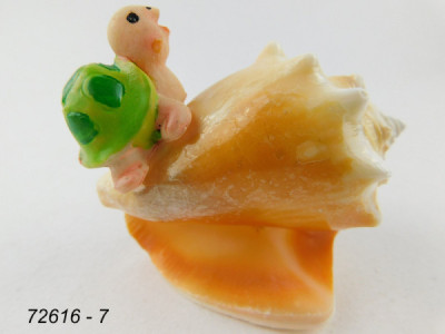 Sud Arca Snc CONCHIGLIA C/TARTARUGA LOC.