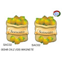MAGNETE SACCO LIMONI