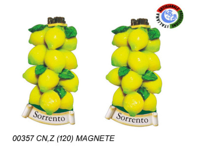 Sud Arca Snc MAGNETE TRECCIA LIMONI