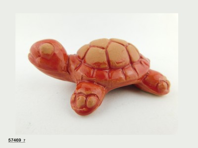 TARTARUGA SEMIGREZZA ROSSA 7