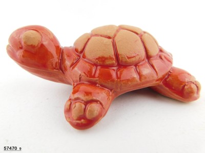 TARTARUGA SEMIGREZZA ROSSA 9