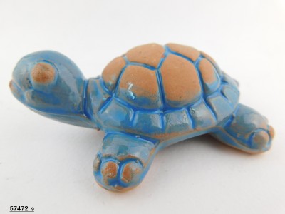 TARTARUGA SEMIGR.CELESTE 9