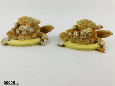 TARTARUGA RES.SABBIATA 7