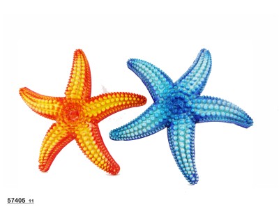 Sud Arca Snc STELLA GRADAZIONE CM.11