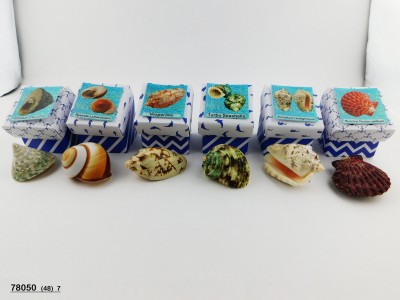 Sud Arca Snc TARTARUGA A.BLU 7