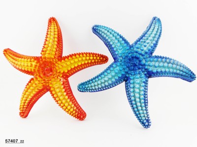 Sud Arca Snc STELLA GRADAZIONE CM.22