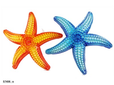 Sud Arca Snc STELLA GRADAZIONE CM.17