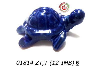 TARTARUGA A.BLU 7