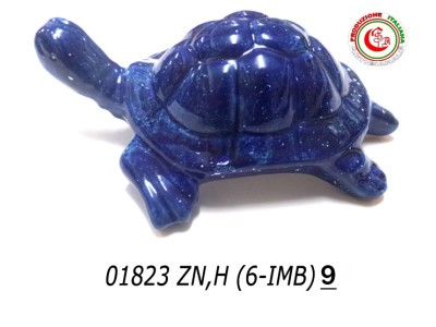 TARTARUGA A.BLU 9