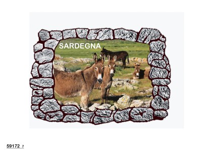 MAGNETE PIETRE C/ASINI SARDEGN