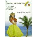 SET COSTUME HAWAIANO COLL+BRAC