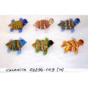 CALAMITA TARTARUGA