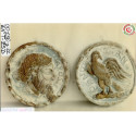 MONETA TERRAC.BRONZ.CM.20