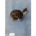 TARTARUGA CONCHIGLIA